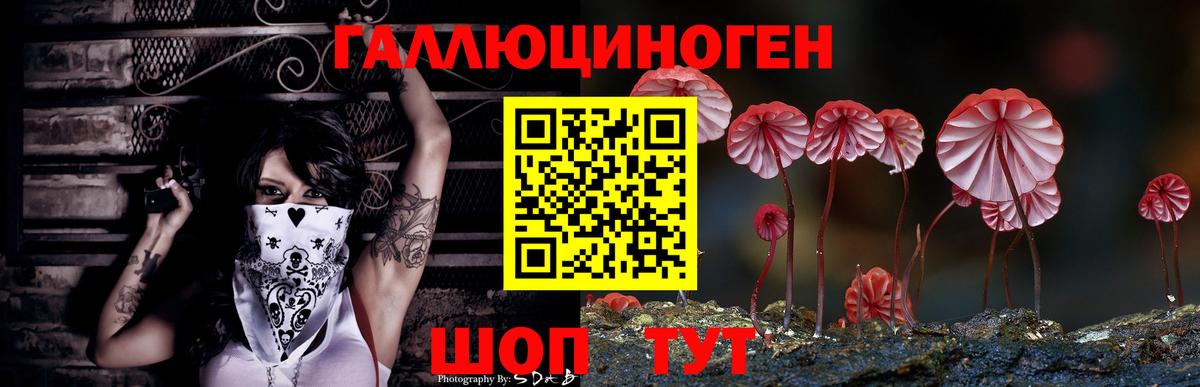 Псилоцибиновые грибы Cubensis  Вход с VPN  Новосибирск 